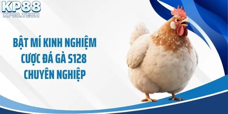 Bật mí kinh nghiệm cược đá gà S128 chuyên nghiệp