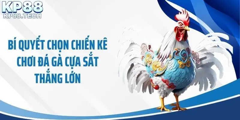 Bí quyết chọn chiến kê chơi đá gà cựa sắt thắng lớn