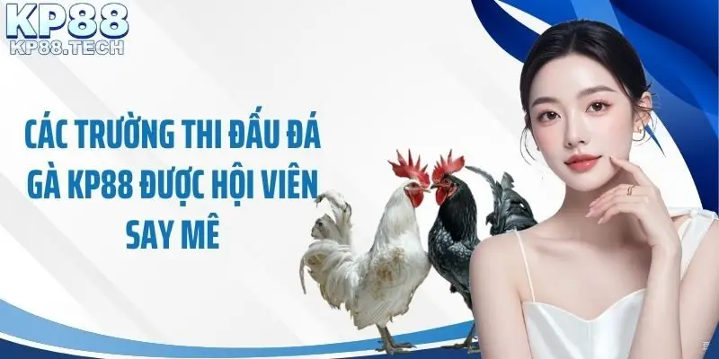 Các trường thi đấu đá gà KP88 được hội viên say mê