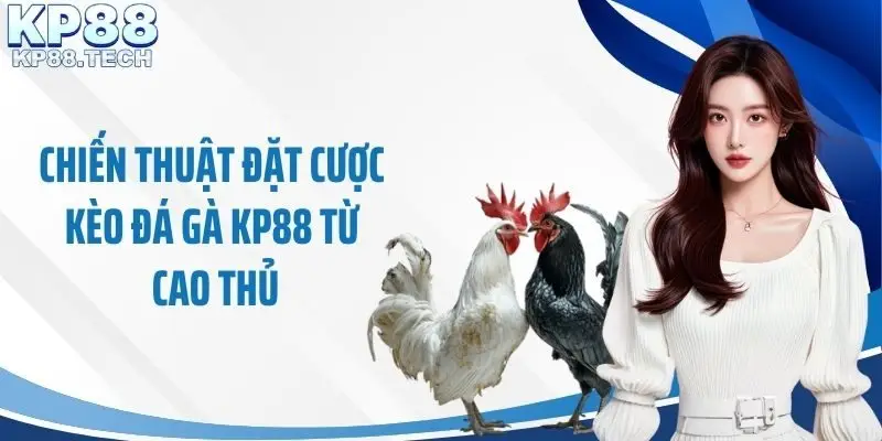 Chiến thuật đặt cược kèo đá gà KP88 từ cao thủ
