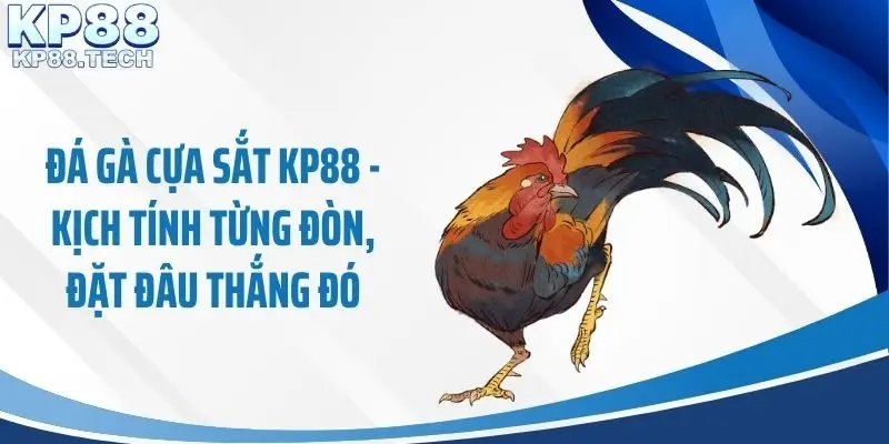 Đá Gà Cựa Sắt KP88 - Kịch Tính Từng Đòn, Đặt Đâu Thắng Đó