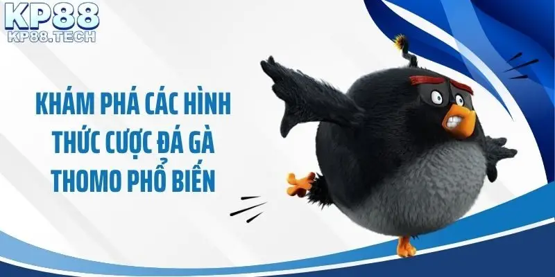 Khám phá các hình thức cược đá gà Thomo phổ biến