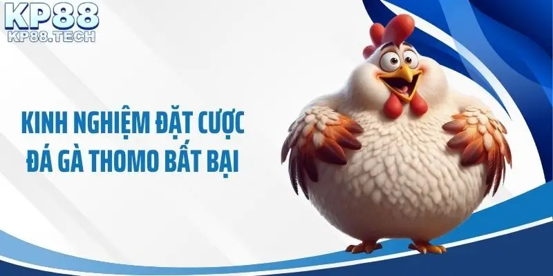 Kinh nghiệm đặt cược đá gà Thomo bất bại